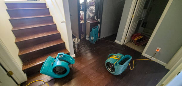 Best Water damage restoration company  in Ridgebury, CT