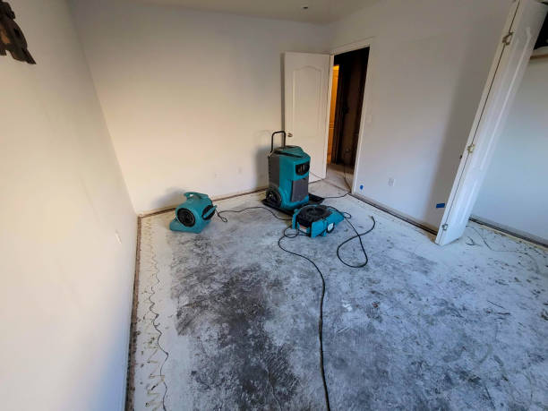 Best Basement water damage restoration  in Ridgebury, CT