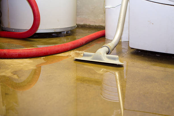 Best Commercial water damage restoration  in Ridgebury, CT