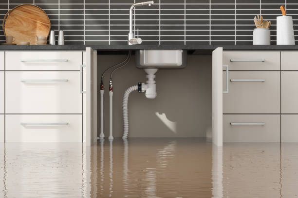 Best Basement water damage restoration  in Ridgebury, CT